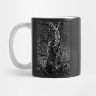 Twisted Tree Trunk Mug